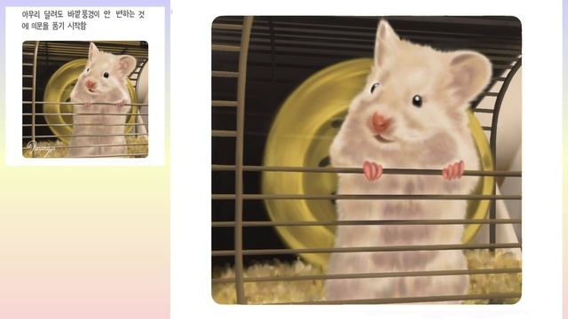 귀여운 얼굴🐹에 그렇지 못한 사연😵 смотреть онлайн