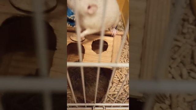 12 января 2023 г. смотреть онлайн