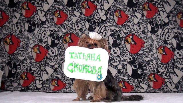 Заставка смотреть онлайн