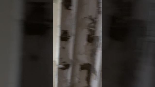 4355397 смотреть онлайн