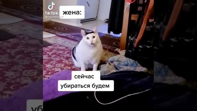 Когда проснулся утром в выходные смотреть онлайн