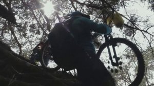 ДОРОГА В ШКОЛУ 9  (Mexico)