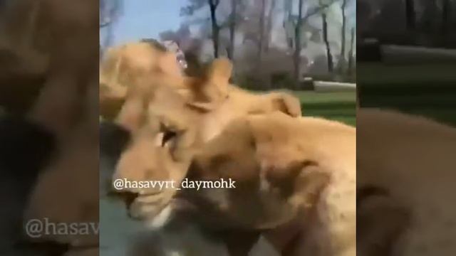 Грустное видео смотреть онлайн