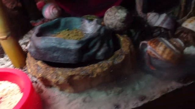Hermit crabs swarming the food dish смотреть онлайн