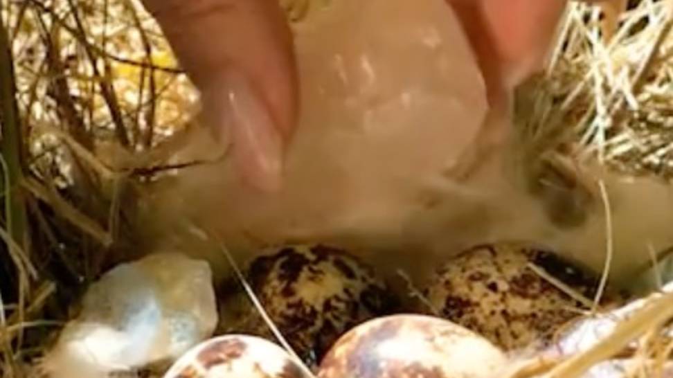 Потрясающие украшения, которые вы можете создать дома смотреть онлайн