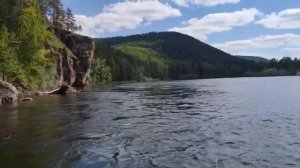 Охота на медведя в восточной сибири 2024