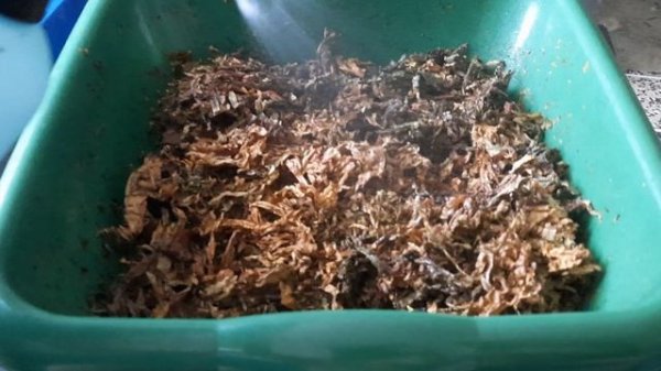 Ферментация Табака