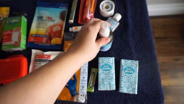 DIY EMERGENCY KIT FOR THE CAR!! | Being Prepared with Kids!! смотреть онлайн