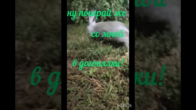 Недавно у нас в семье появился малыш ...Маленький и милый...Растет не по дням!) смотреть онлайн