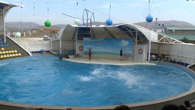 Дельфины и котики Коктебеля-25 смотреть онлайн