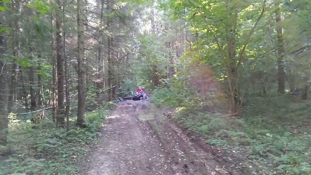 2016.08 Квадрик 6 лесной смотреть онлайн