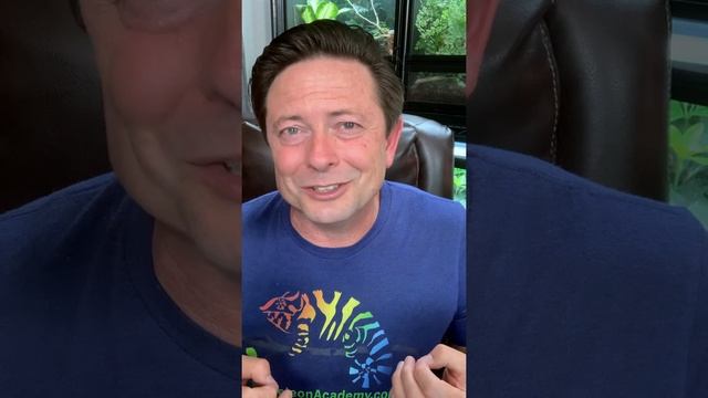 Introduction to Bioactive for Chameleons! смотреть онлайн