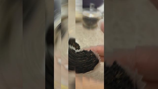 Конфеты из пророщенной зелёной гречки 