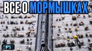 Все о классической мормышке. Какие бывают, плюсы и минусы.