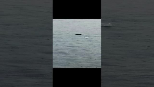 кругом вода