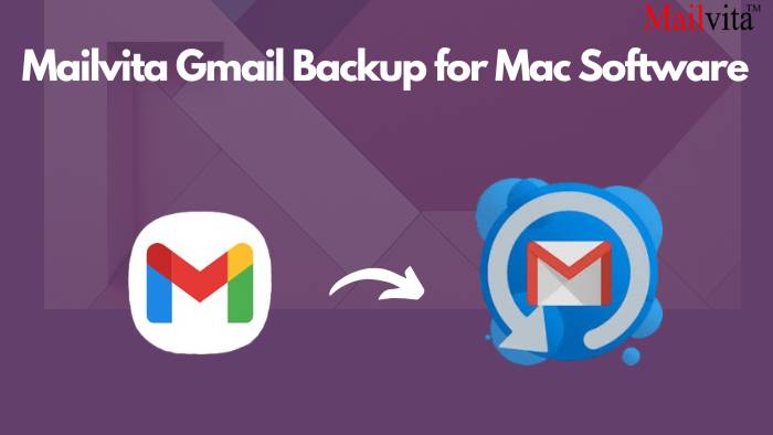 Export Gmail Emails Automatically With Mailvita Gmail Backup Tool