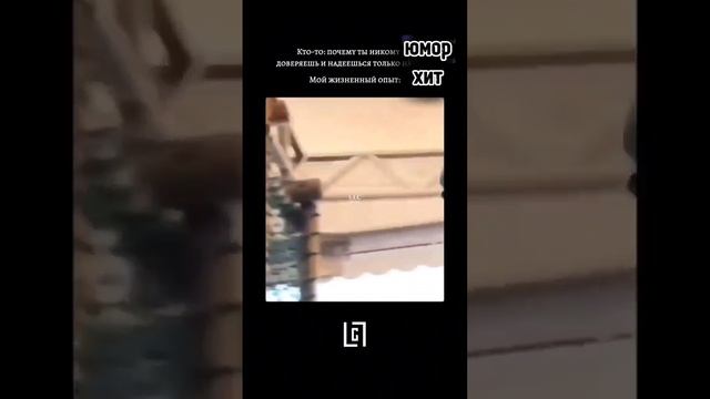 НЕОЖИДАННО! Юмор, приколы, жесть. смотреть онлайн