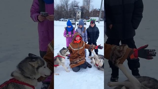 Новогодние гулянья в ЖК 