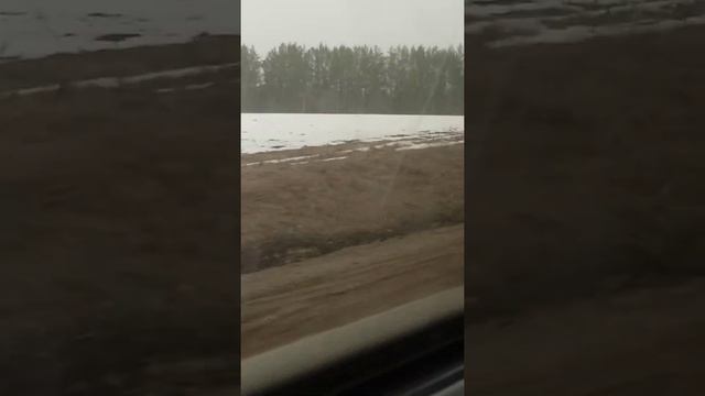 еду домой из Казани в Пермь смотреть онлайн
