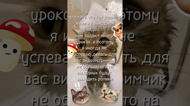 у меня на канале опять долго не выходили видео.. | 💫Орбита💫 смотреть онлайн