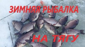 Зимняя рыбалка на тягу на карася 2025