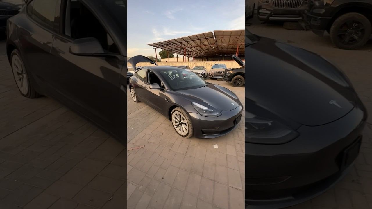 Получили сегодня из США в ОАЭ Тесла модел 3. Быстрый осмотр и везем в ремонт #автоизсша #тесла смотреть онлайн