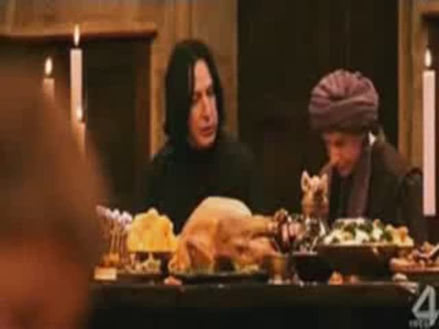 Приворожить зельевара (Канцлер Ги "Ведьма II", Гарри Поттер) (Бастет)