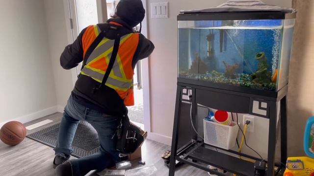 Canada/ Telus Smart Home Camera Install смотреть онлайн