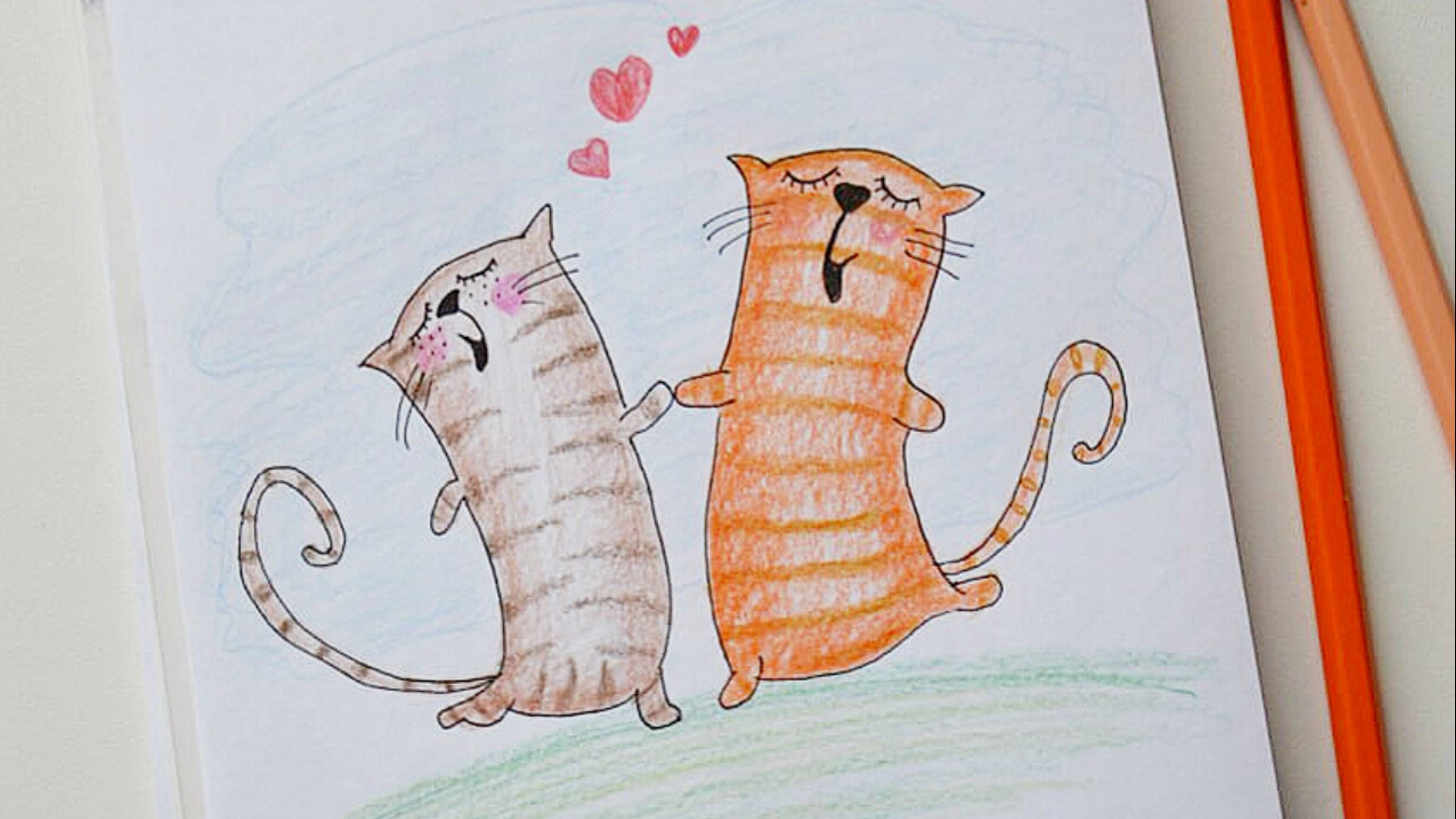 Весёлая парочка котов смотреть онлайн