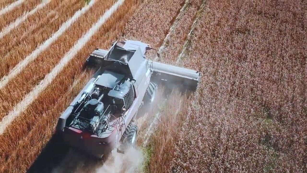 Очесывающая жатка ОЗОН ПАО ПЕНЗМАШ, Орловская область, АПК "Юность", 2024 смотреть онлайн