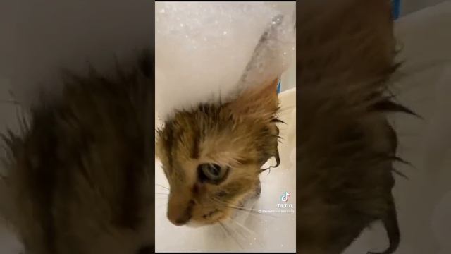 1000148611.mp4 смотреть онлайн