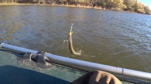 РЫБАЛКА В АСТРАХАНИ. ОСЕННЯЯ РЫБАЛКА НА СУДАКА