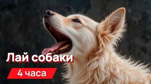 Звуки для соседей - лай собаки 4 часа