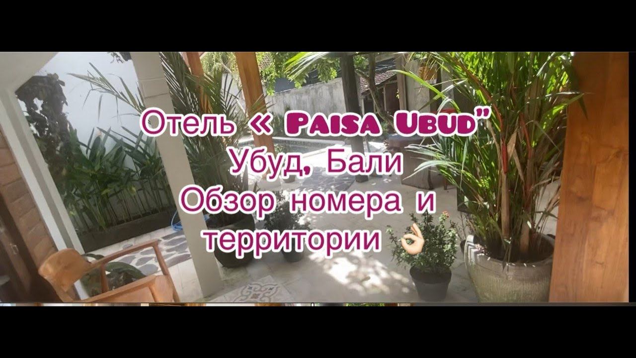 Обзор отеля "Paisa Ubud", Убуд, Бали. смотреть онлайн