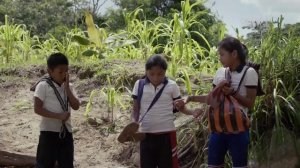 ДОРОГА В ШКОЛУ 13  (Mexico)