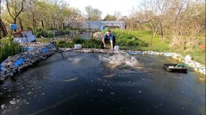 Дачные пруды. Как мы форель ловили, смех да и только.