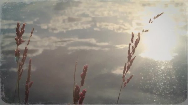 запланированная