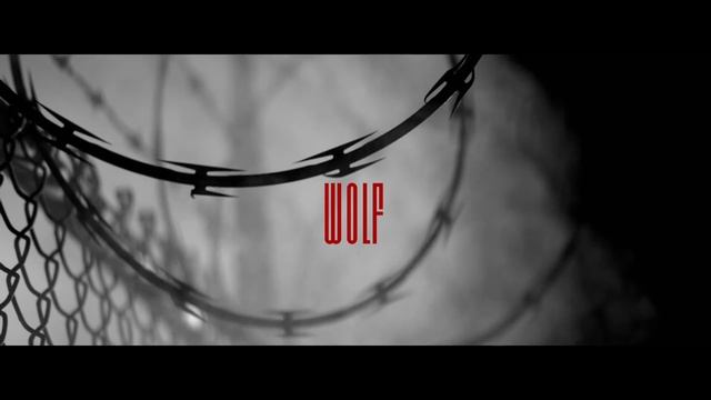 [FREE] TYPE BEAT RAP FREESTYLE | "WOLF" смотреть онлайн