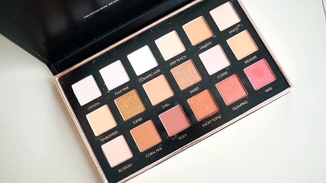 REVIEW FOCALLURE EYESHADOW PALETTE