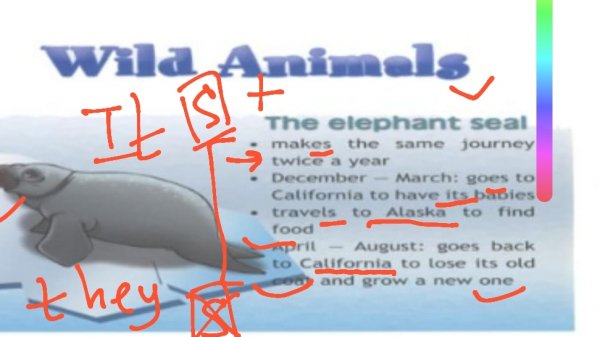 workbook стр 89 The elephant seal makes the same journey. spotlight 4 ,видеоразбор дз спотлайт 4, l