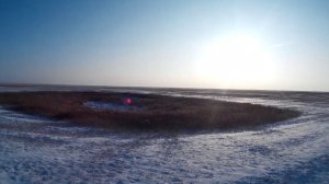 Охота на зайца 06-01-18 №33