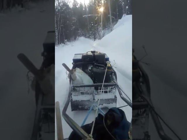 Езда на мотобуксировщике DraXter по прекрасному Бийску (Алтайские горы) видео от клиента смотреть онлайн