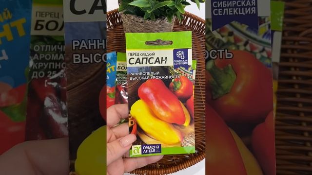 Моя подборка сладкого перца на сезон 2025 смотреть онлайн