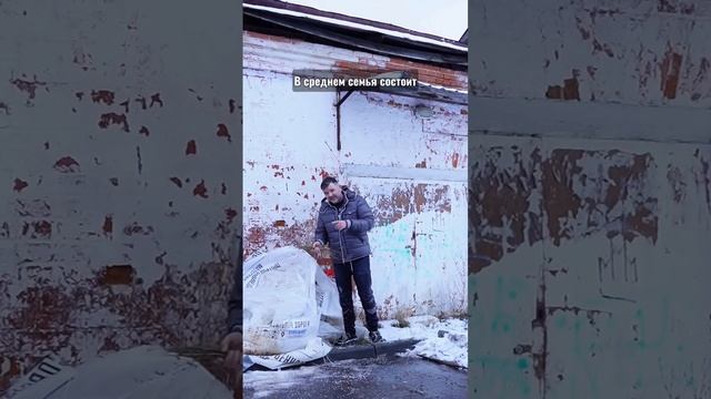 Вот так вот просирают квартиры ☝️😉✌️😂😂😂 смотреть онлайн