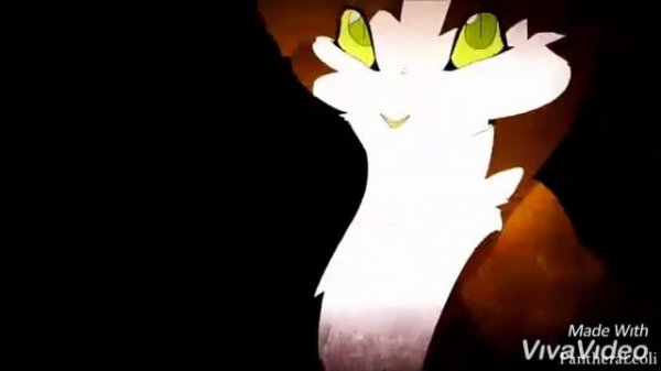 Warrior cats amv