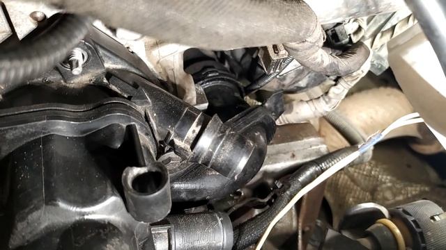 Euro Car Enthusiasts Alliance