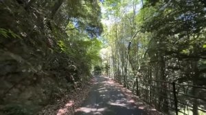 2 дня в САМОМ КРОШЕЧНОМ спальном вагоне Японии  Санрайз Экспресс