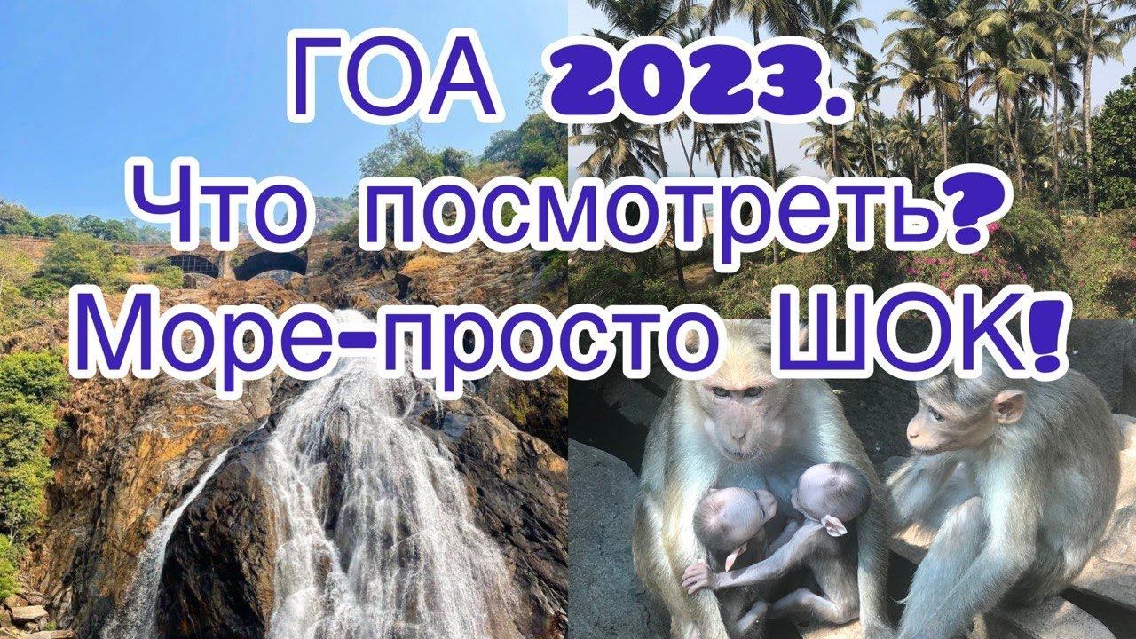 ГОА 2023. Что можно посмотреть? Море просто шок! смотреть онлайн