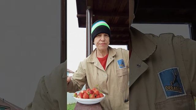 Балкон Оли. Урожайность. Голуби на волю. Гладиолусы. 2-15 сентября 2024 смотреть онлайн