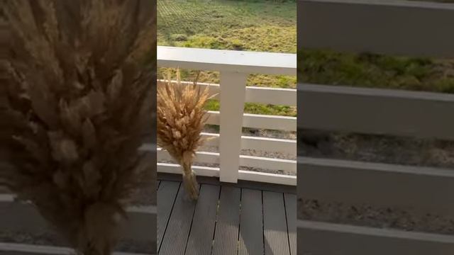 Каркасный дом с террасой